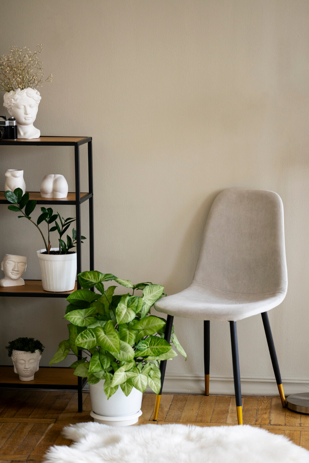 view-potted-plant-room-with-chair-shelf